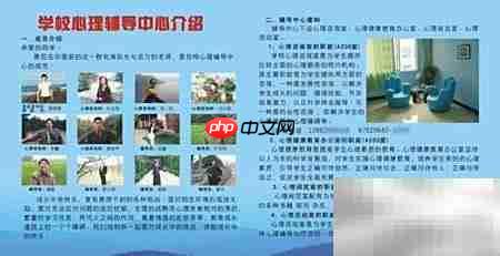 如何引导学生正确认识心理咨询