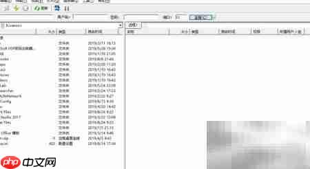 FTP下载数据资源指南