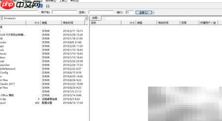 FTP下载数据资源指南