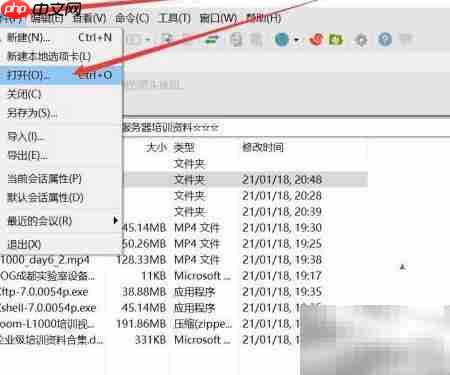 FTP乱码文件同步解决