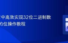 Go语言中高效实现32位二进制数位反转的位操作教程