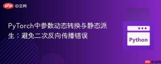 PyTorch中参数动态转换与静态派生：避免二次反向传播错误