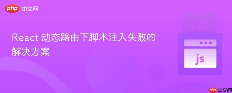React 动态路由下脚本注入失败的解决方案