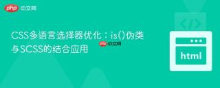 CSS多语言选择器优化：is()伪类与SCSS的结合应用