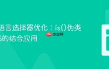 CSS多语言选择器优化:is()伪类与SCSS的结合应用