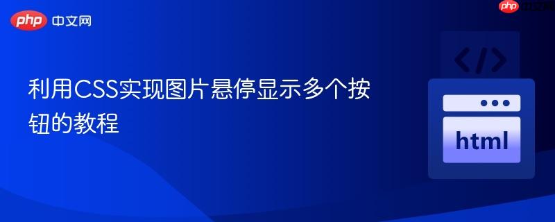 利用CSS实现图片悬停显示多个按钮的教程