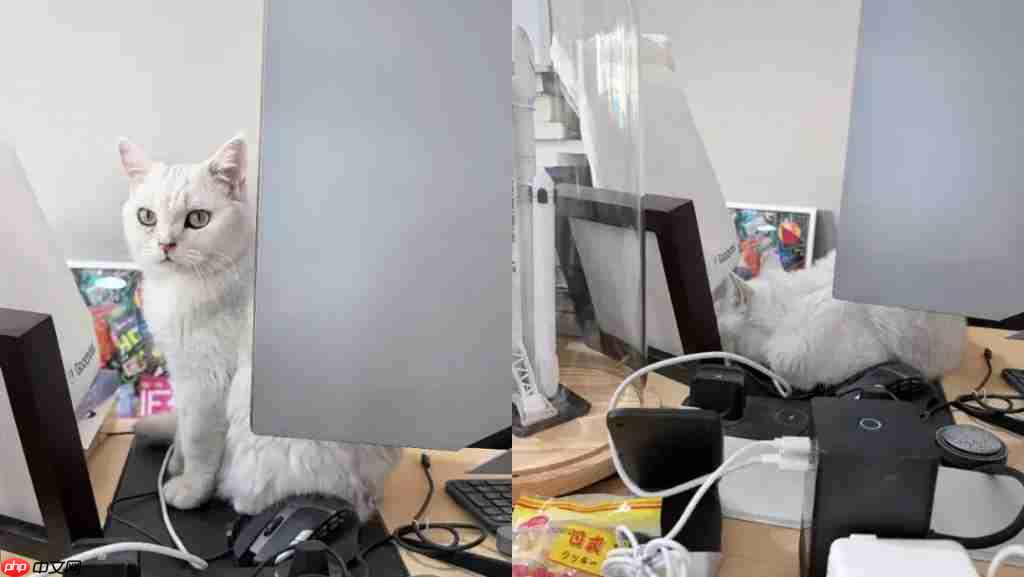 硬刚 Sora 2,谷歌的 Veo 3.1 确实有小惊喜|AI 上新