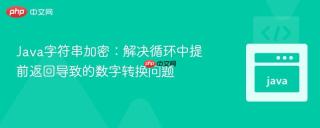 Java字符串加密:解决循环中提前返回导致的数字转换问题