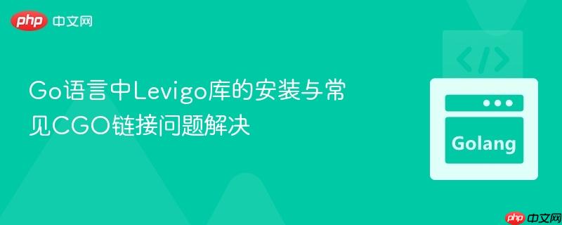 Go语言中Levigo库的安装与常见CGO链接问题解决