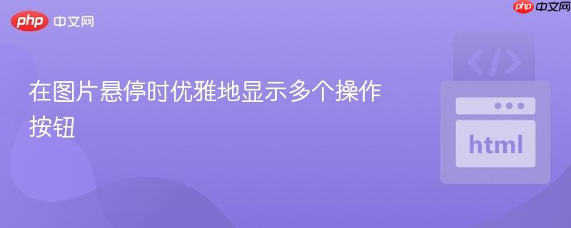 在图片悬停时优雅地显示多个操作按钮