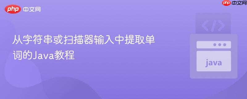 从字符串或扫描器输入中提取单词的Java教程
