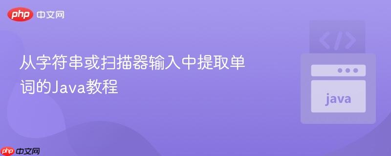 从字符串或扫描器输入中提取单词的Java教程