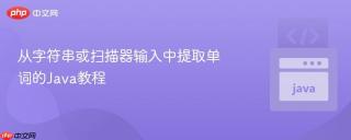 从字符串或扫描器输入中提取单词的Java教程