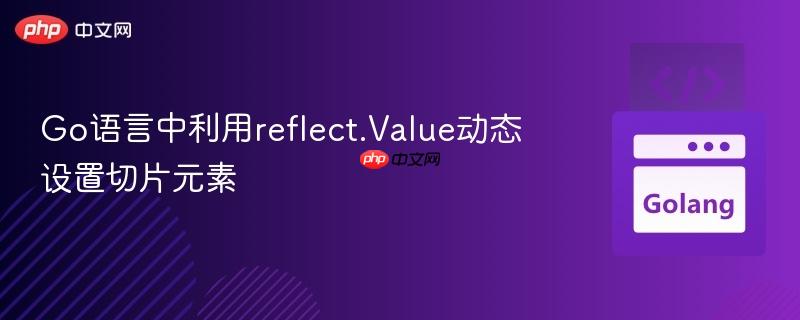 Go语言中利用reflect.Value动态设置切片元素