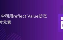Go语言中利用reflect.Value动态设置切片元素