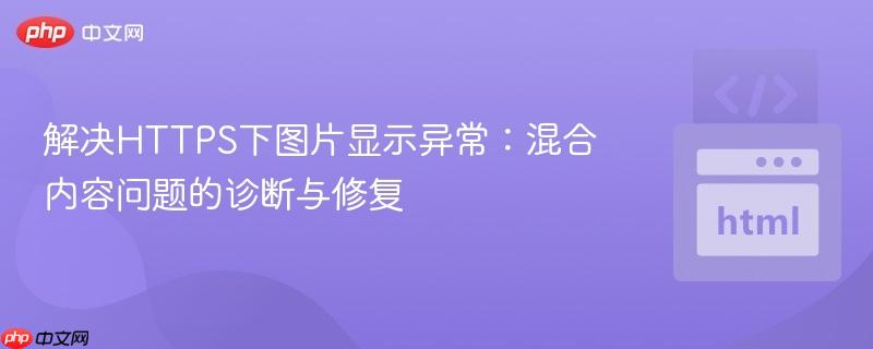 解决HTTPS下图片显示异常：混合内容问题的诊断与修复