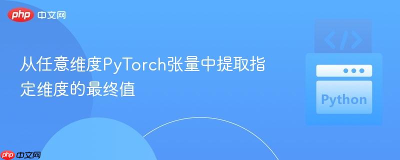 从任意维度pytorch张量中提取指定维度的最终值