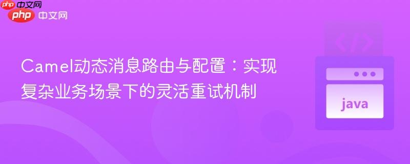 Camel动态消息路由与配置:实现复杂业务场景下的灵活重试机制