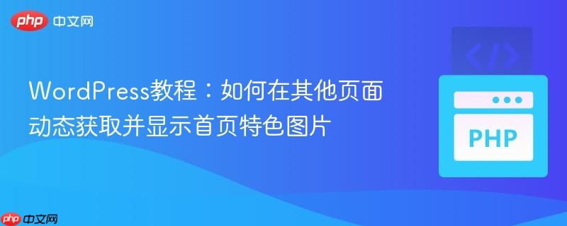 WordPress教程:如何在其他页面动态获取并显示首页特色图片