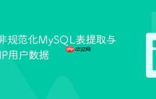 高效从非规范化MySQL表提取与排序PHP用户数据