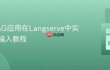 动态RAG应用在Langserve中实现动态输入教程