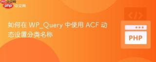 如何在 WP_Query 中使用 ACF 动态设置分类名称