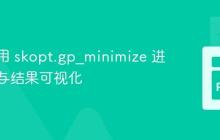 正确使用 skopt.gp_minimize 进行优化与结果可视化