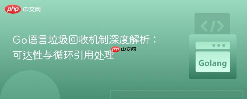 Go语言垃圾回收机制深度解析：可达性与循环引用处理