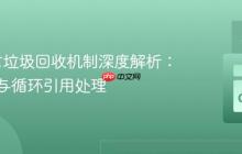Go语言垃圾回收机制深度解析:可达性与循环引用处理