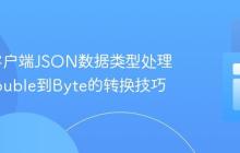 Jedis客户端JSON数据类型处理：从Double到Byte的转换技巧