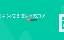 Coda 2中Go语言语法高亮现状与展望
