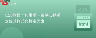 CSS教程：利用唯一表单ID精准定位并样式化特定元素