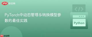PyTorch中动态管理与转换模型参数的最佳实践