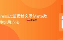 WordPress批量更新文章Meta数据:两种实用方法