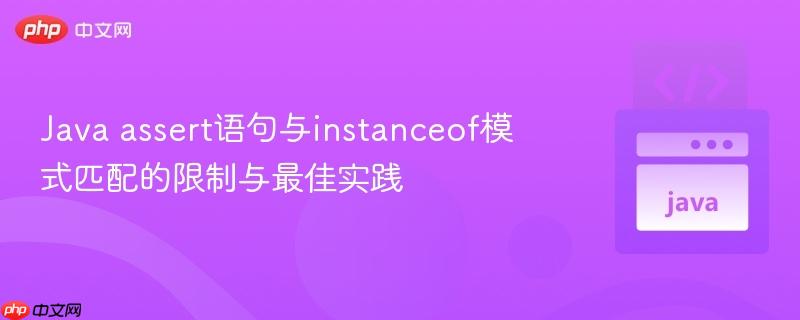 Java assert语句与instanceof模式匹配的限制与最佳实践