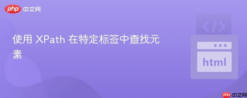 使用 XPath 在特定标签中查找元素