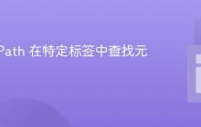 使用 XPath 在特定标签中查找元素