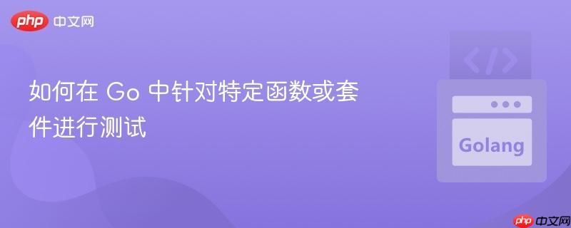 如何在 go 中针对特定函数或套件进行测试