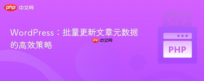 WordPress：批量更新文章元数据的高效策略
