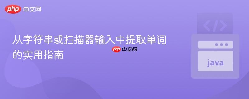 从字符串或扫描器输入中提取单词的实用指南