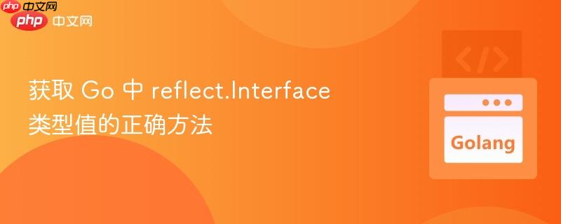 获取 go 中 reflect.interface 类型值的正确方法