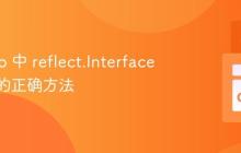 获取 Go 中 reflect.Interface 类型值的正确方法