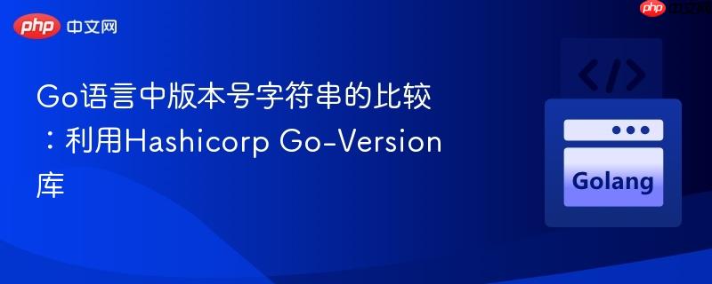 Go语言中版本号字符串的比较:利用Hashicorp Go-Version库