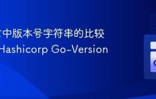 Go语言中版本号字符串的比较：利用Hashicorp Go-Version库