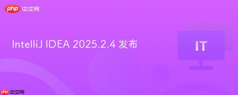IntelliJ IDEA 2025.2.4 发布