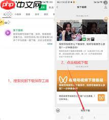 微信视频号如何保存视频到本地