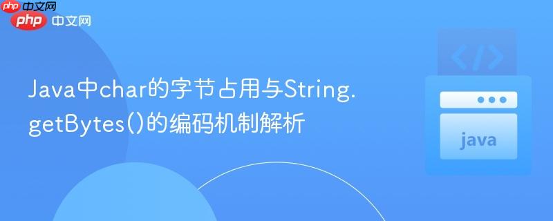 Java中char的字节占用与String.getBytes()的编码机制解析 Java中char的字节占用与String.getBytes()的编码机制解析