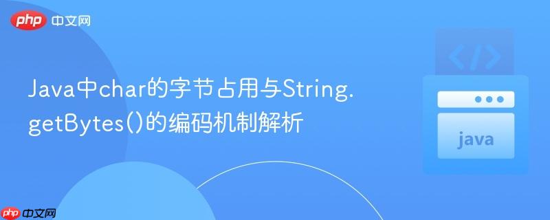 Java中char的字节占用与String.getBytes()的编码机制解析