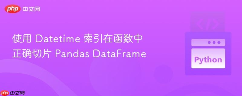 使用 datetime 索引在函数中正确切片 pandas dataframe