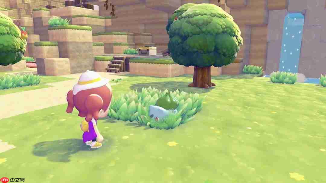 《宝可梦:Pokopia》官宣实时季节与岛屿作客功能